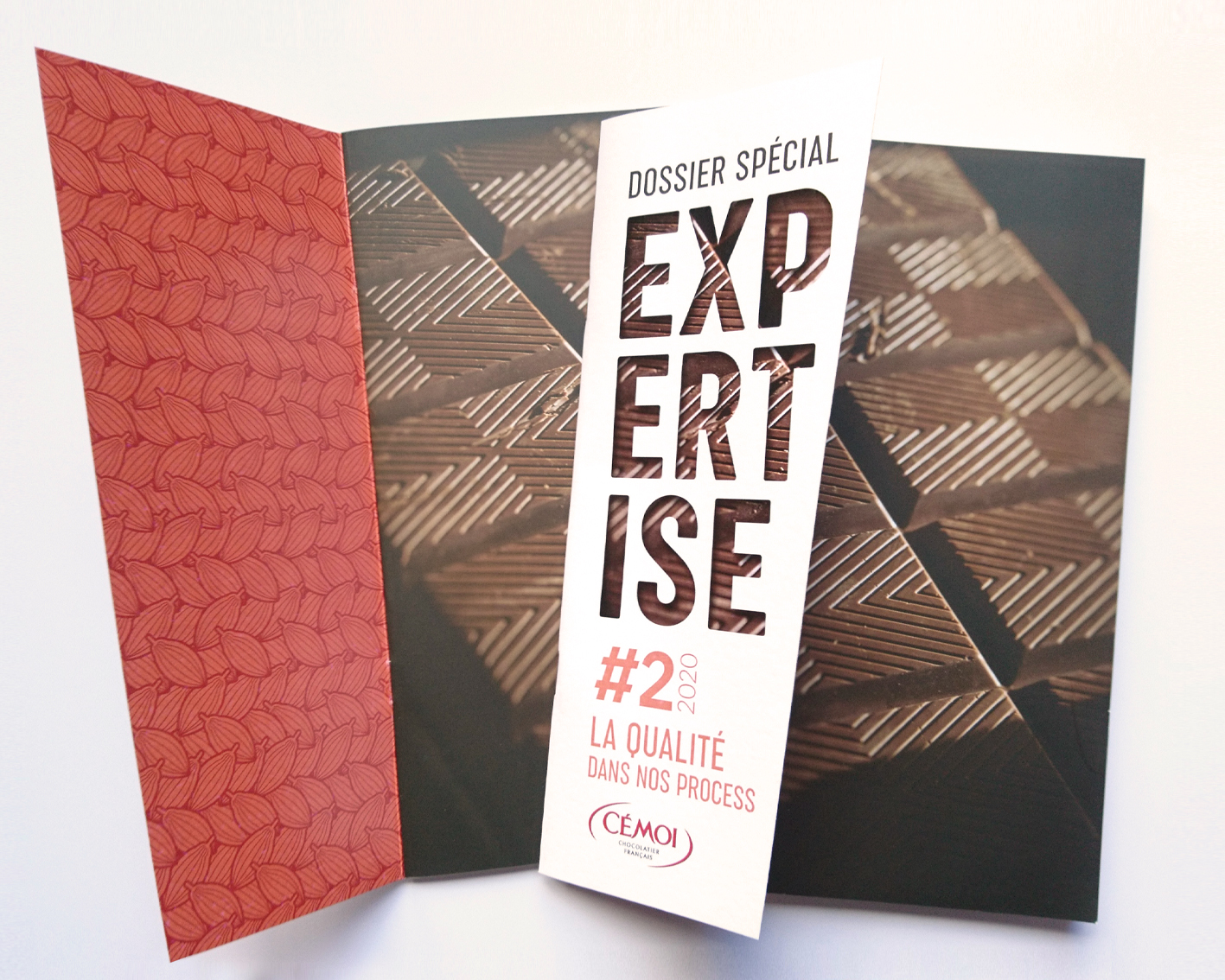 cemoi-livret-expertise2-image1.jpg